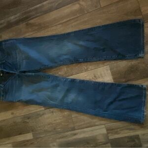 Banana Republic Blue Denim Jeans